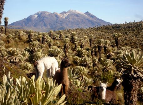 Volcán Chiles